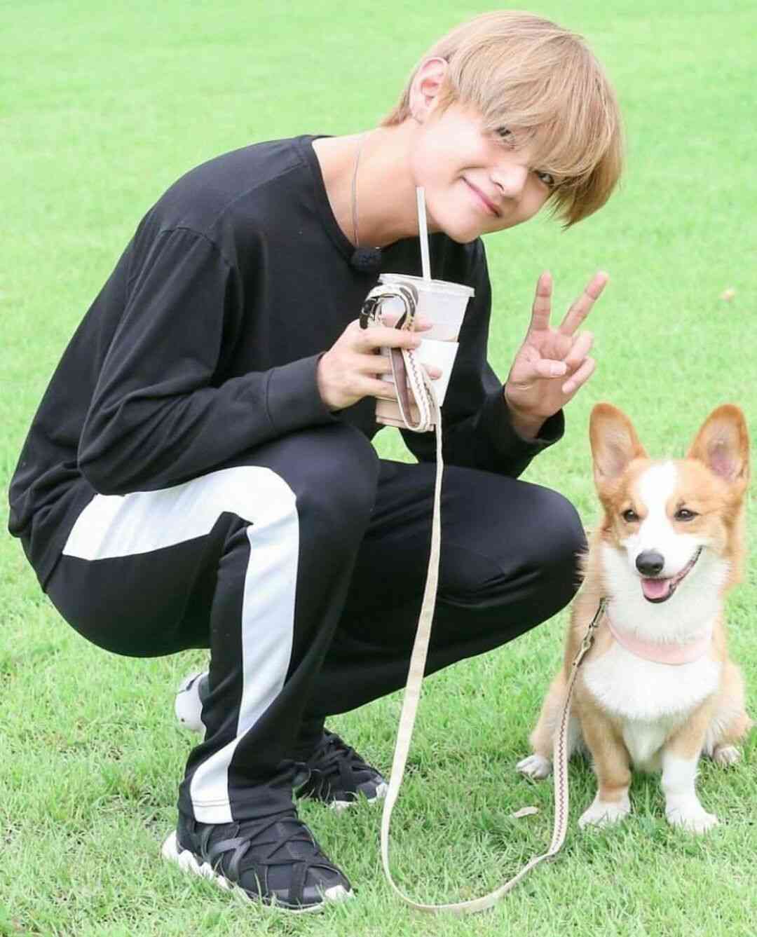 花や動物と一緒に写ってる芸能人写真