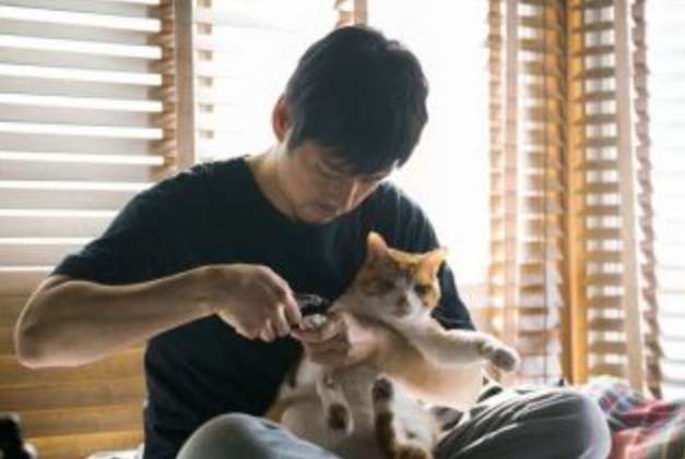 花や動物と一緒に写ってる芸能人写真