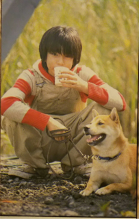花や動物と一緒に写ってる芸能人写真