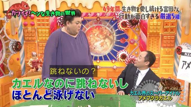 花や動物と一緒に写ってる芸能人写真