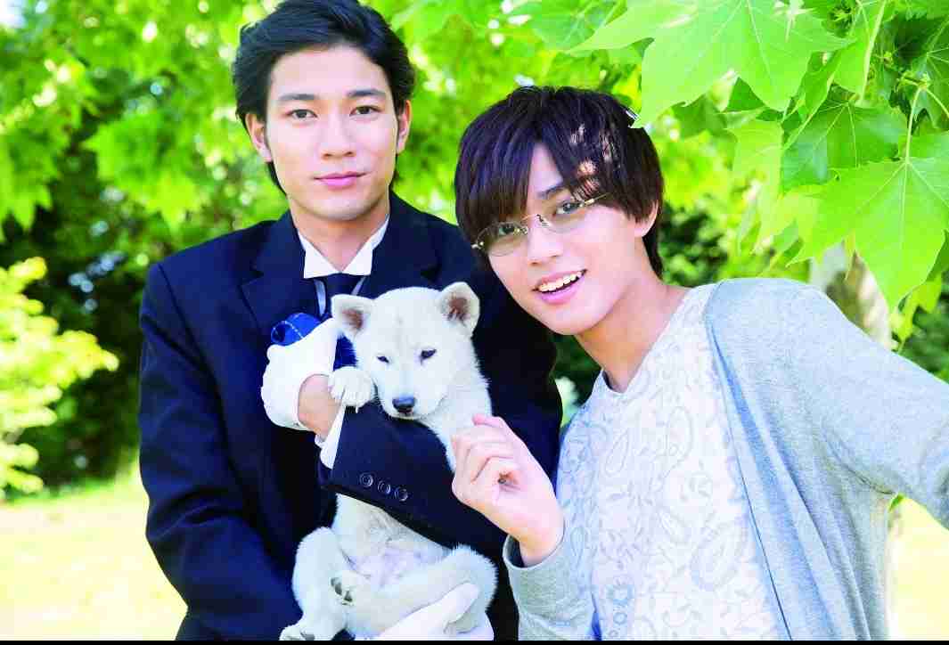 花や動物と一緒に写ってる芸能人写真