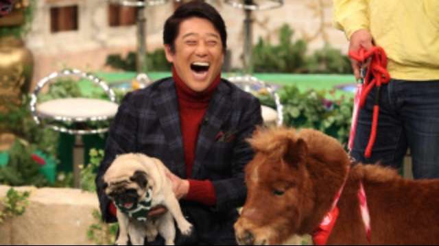 花や動物と一緒に写ってる芸能人写真