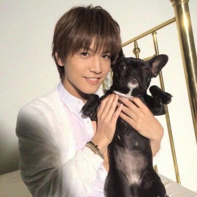 花や動物と一緒に写ってる芸能人写真