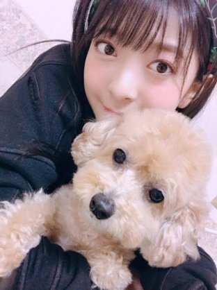 花や動物と一緒に写ってる芸能人写真