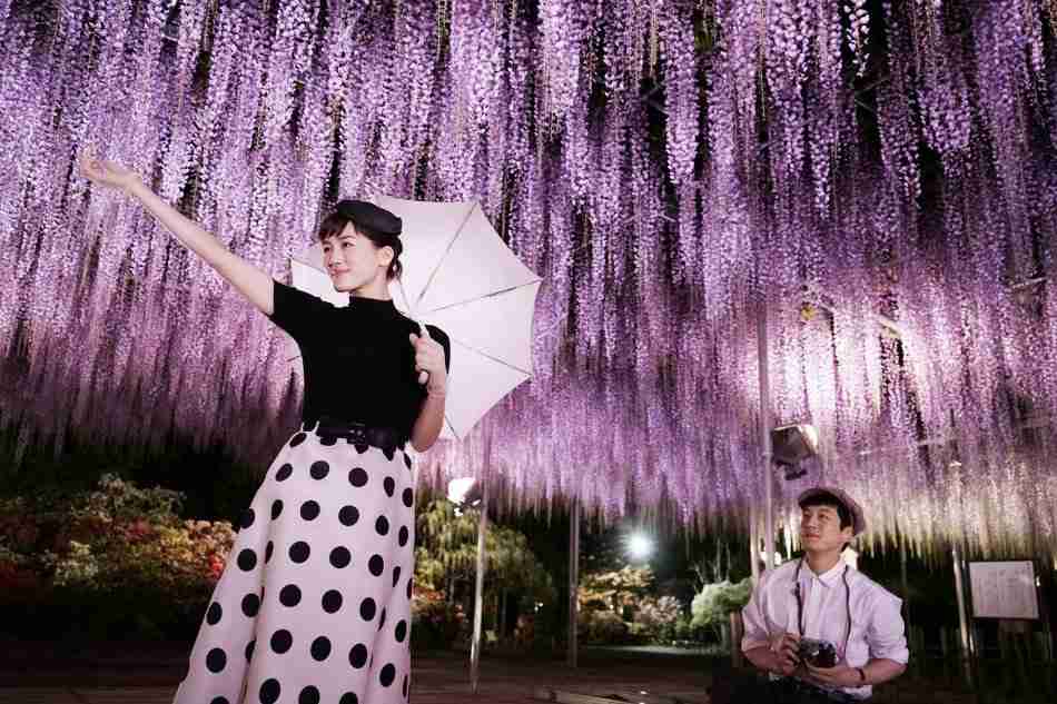 花や動物と一緒に写ってる芸能人写真