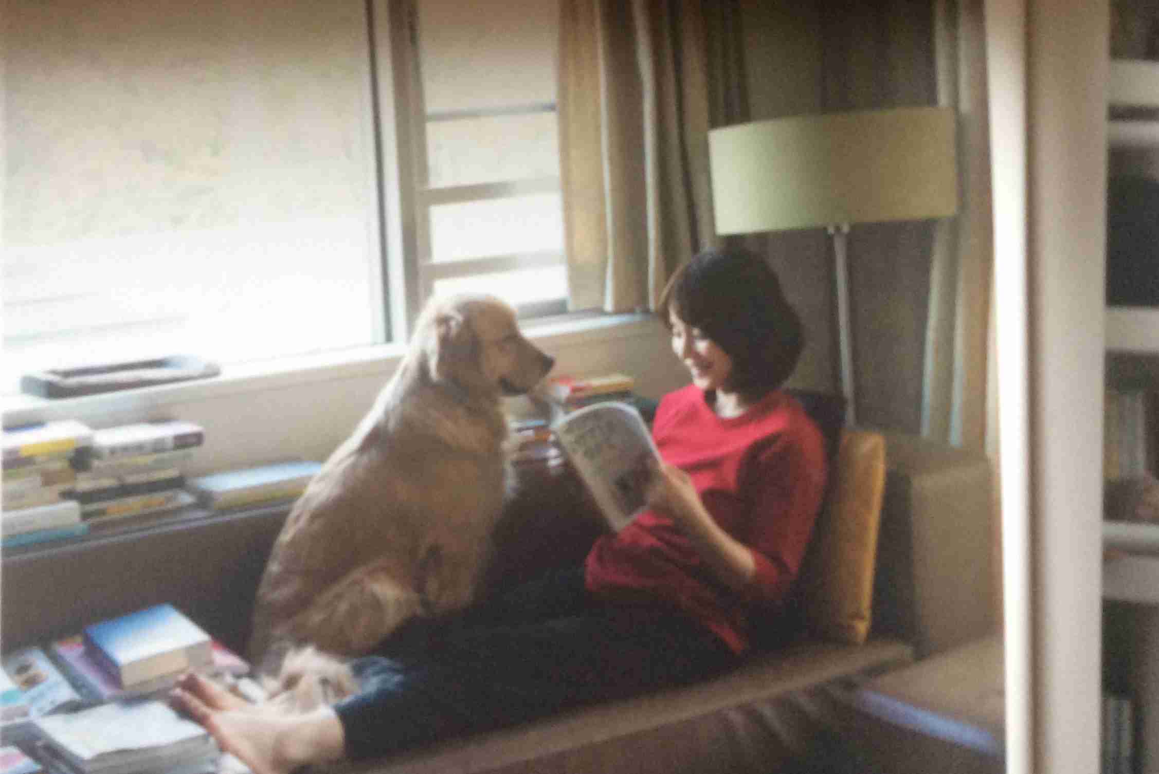 花や動物と一緒に写ってる芸能人写真