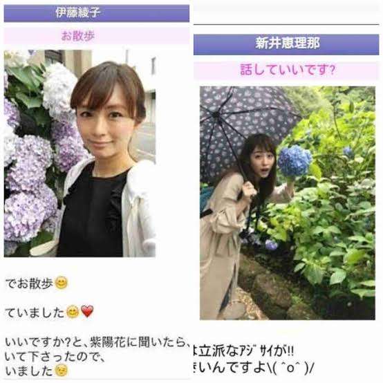 花や動物と一緒に写ってる芸能人写真