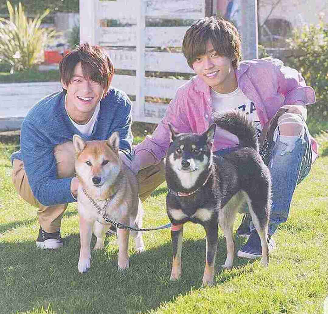 花や動物と一緒に写ってる芸能人写真