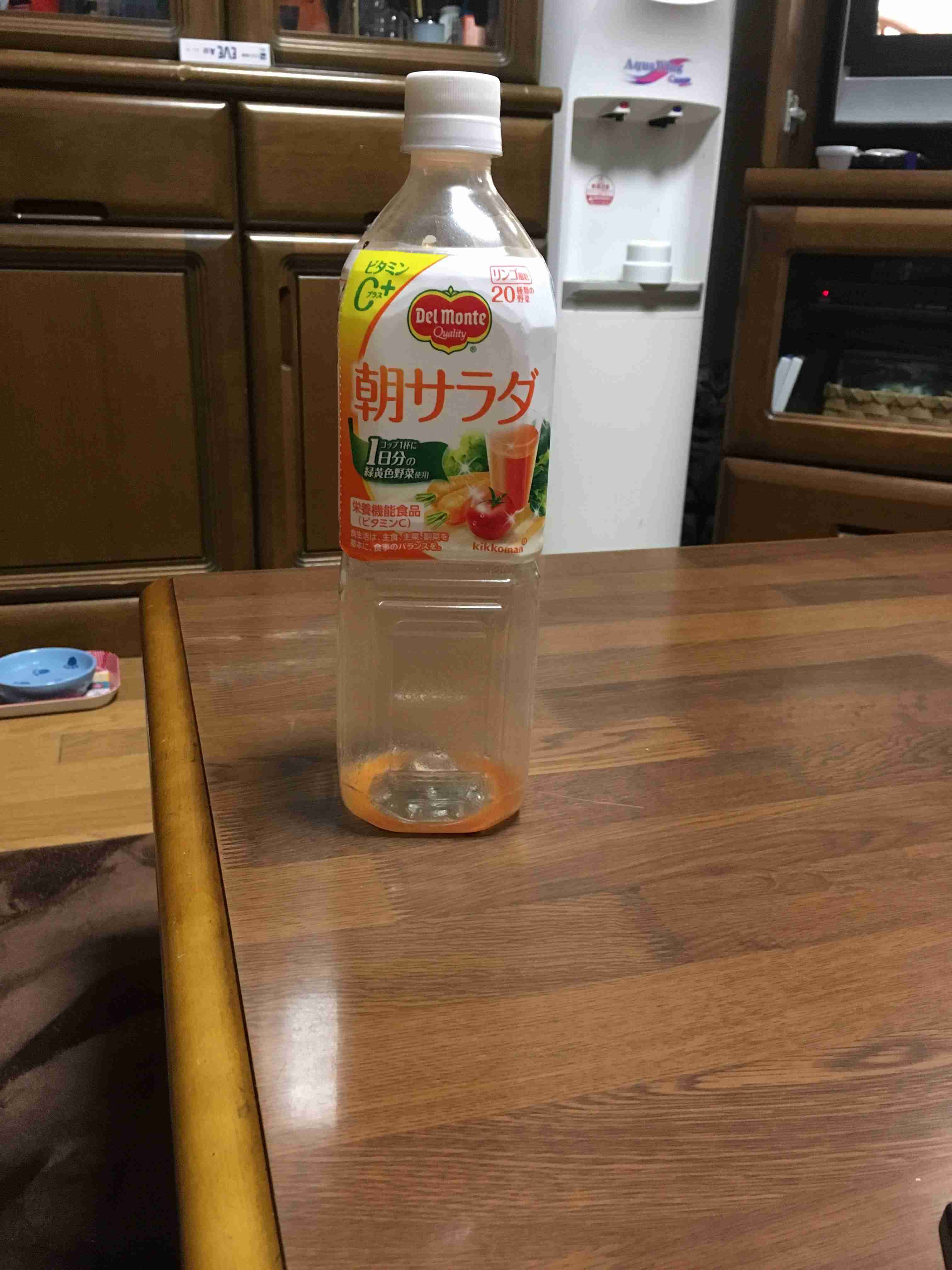 心霊写真風の猫画像ください
