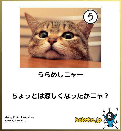 心霊写真風の猫画像ください