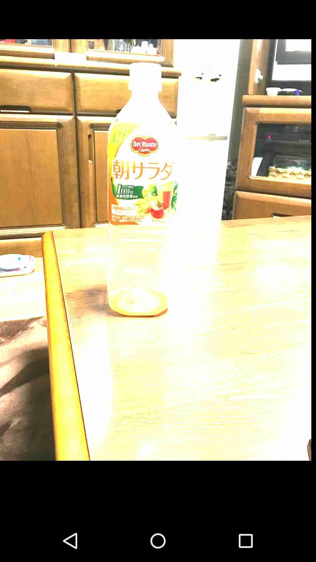 心霊写真風の猫画像ください