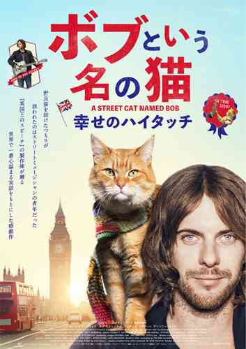 本当に面白いと思った映画を教えて下さい