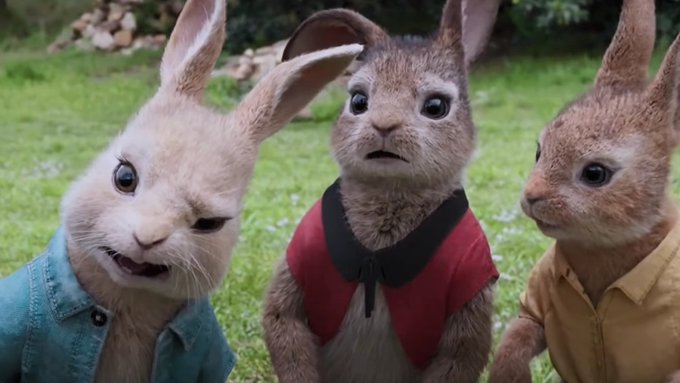 本当に面白いと思った映画を教えて下さい