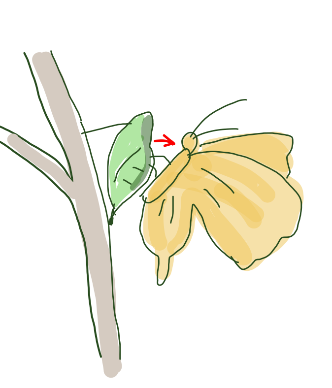 絵しりとりしましょう！