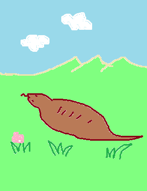 絵しりとりしましょう！
