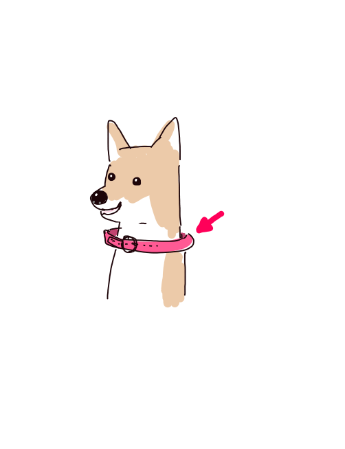 絵しりとりしましょう！
