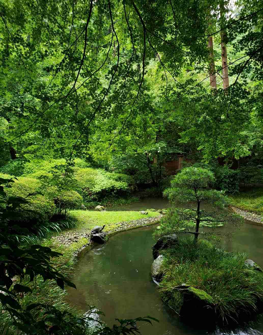 【7月】ガーデニングトピ🌻【家庭菜園可】
