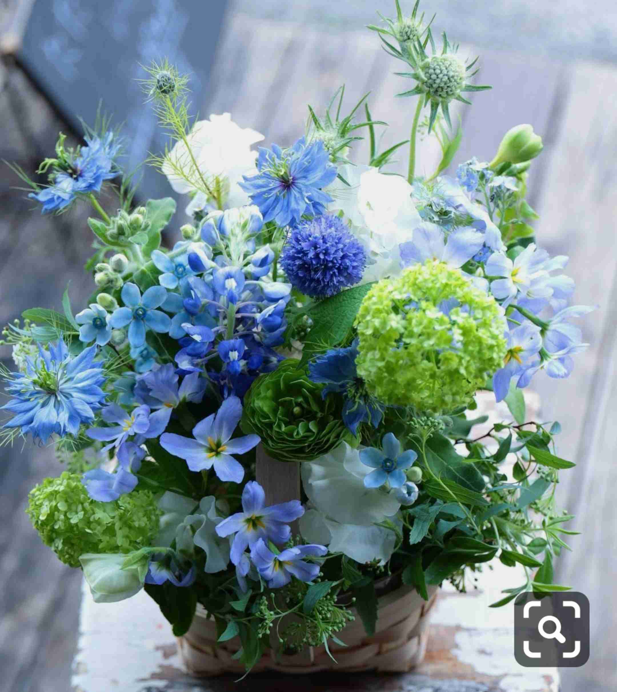 【7月】ガーデニングトピ🌻【家庭菜園可】