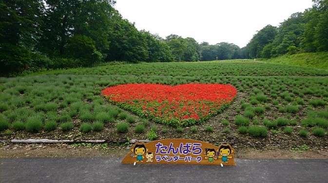 【7月】ガーデニングトピ🌻【家庭菜園可】