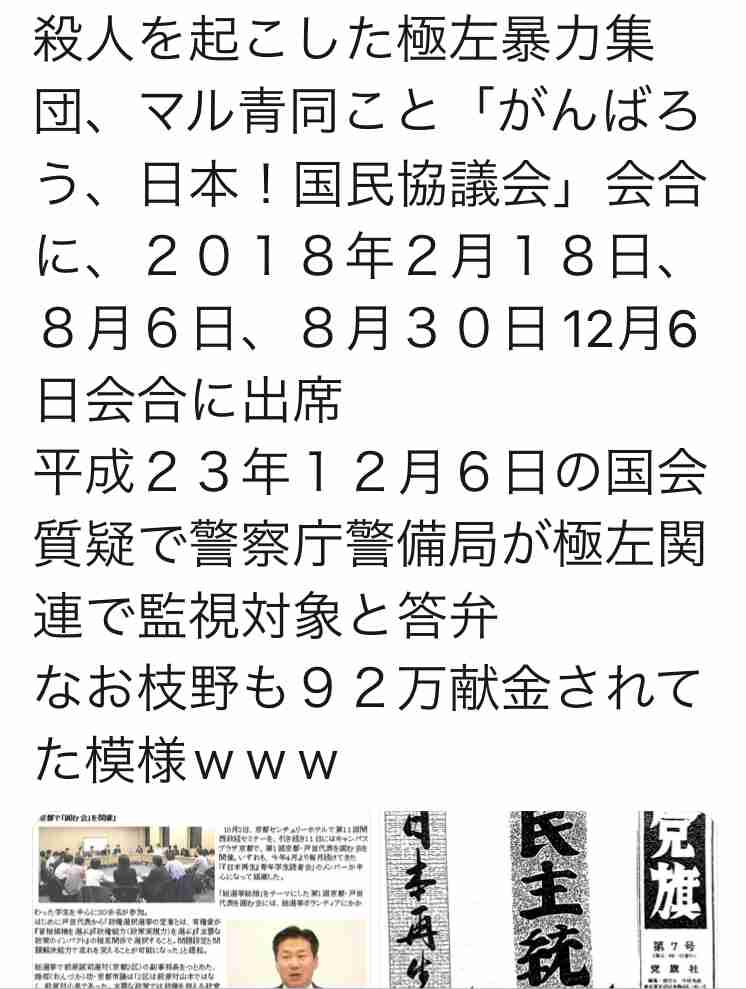 賛成ですか、反対ですか 丸山穂高に“血税1億円以上”が注がれる