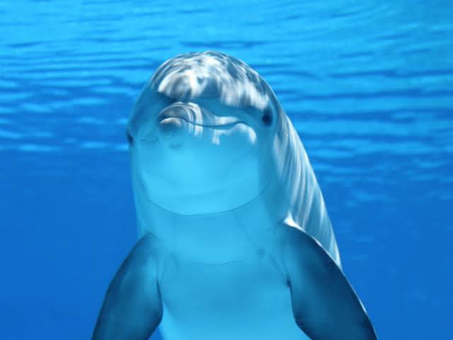 プールや海、化粧して行きますか?