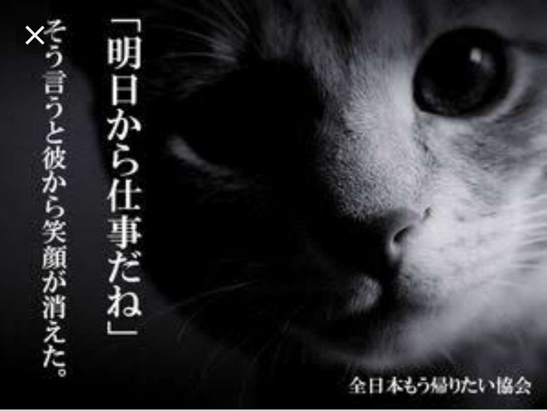ガル民だらけのホラー映画