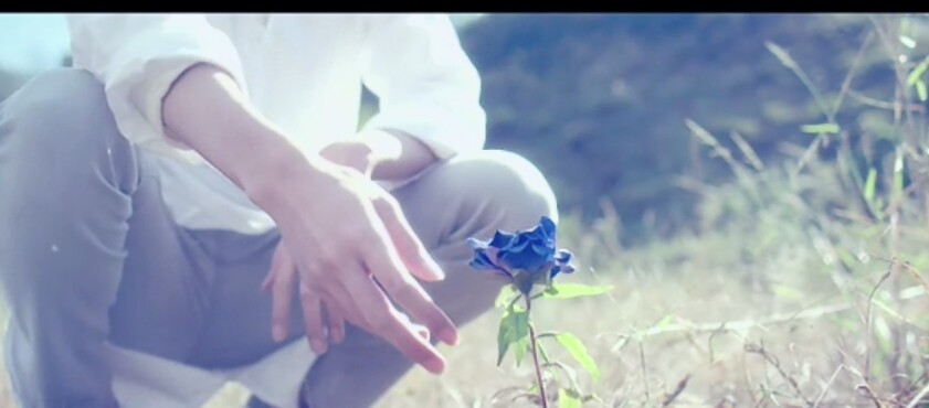 米津玄師、日曜劇場主題歌「馬と鹿」発売日決定、書き下ろしジャケ公開