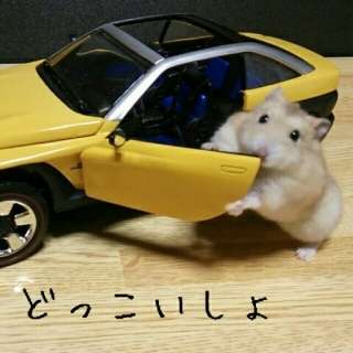 好きだけど食べられない物