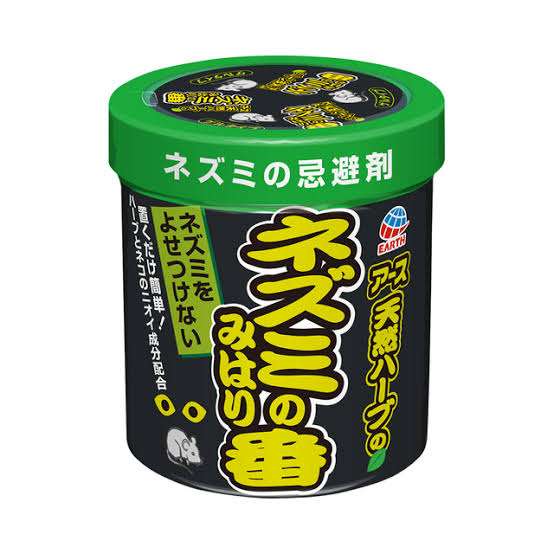 家でネズミが出た事ある人いますかっ??