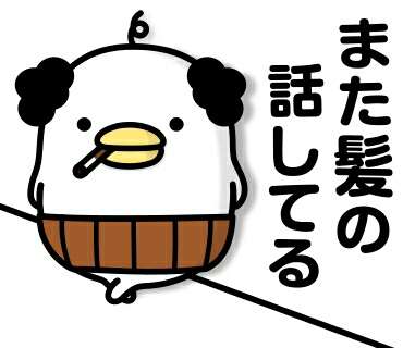 加齢による髪質の変化の悩み