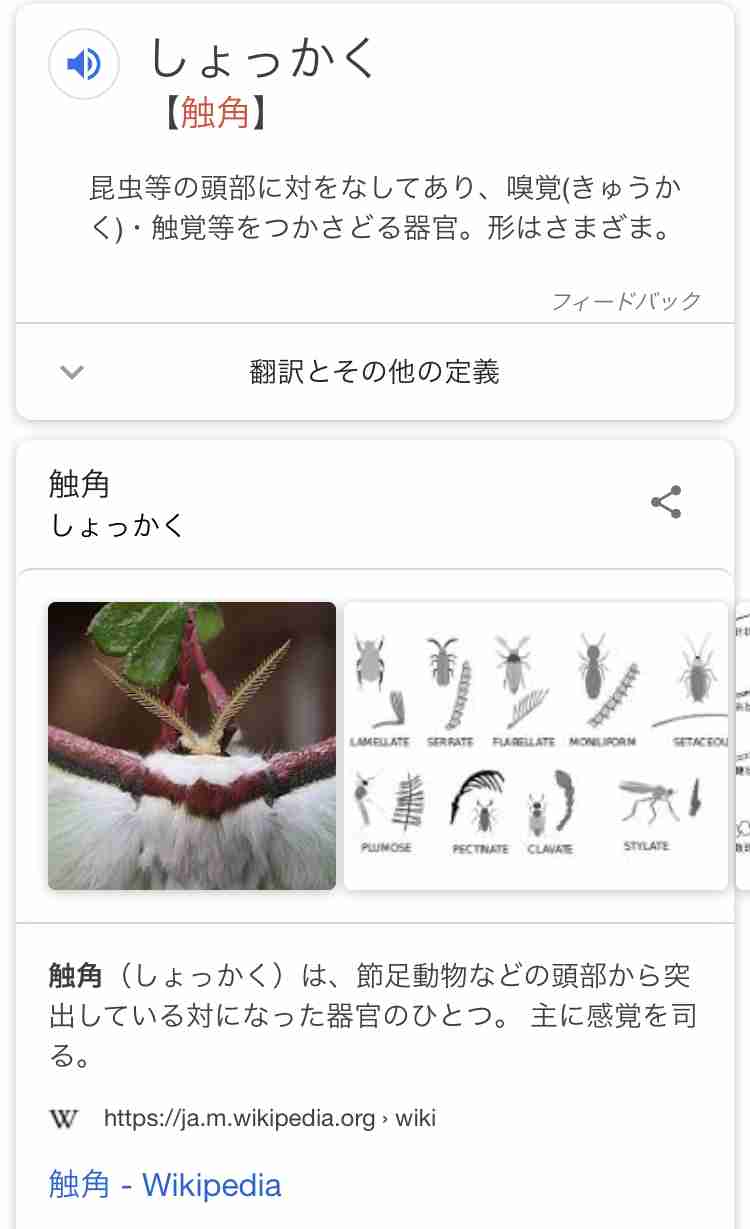 触覚ヘアはもったいない!