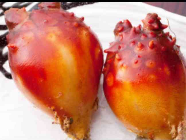 見た目キツいのはわかってるけど好きな食べ物