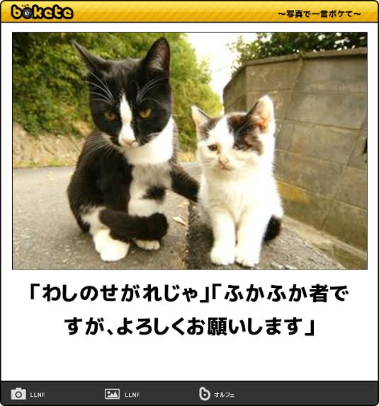 お嬢様と執事が交互に現れるトピPart2