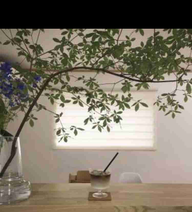 おうちにお花を飾りたい