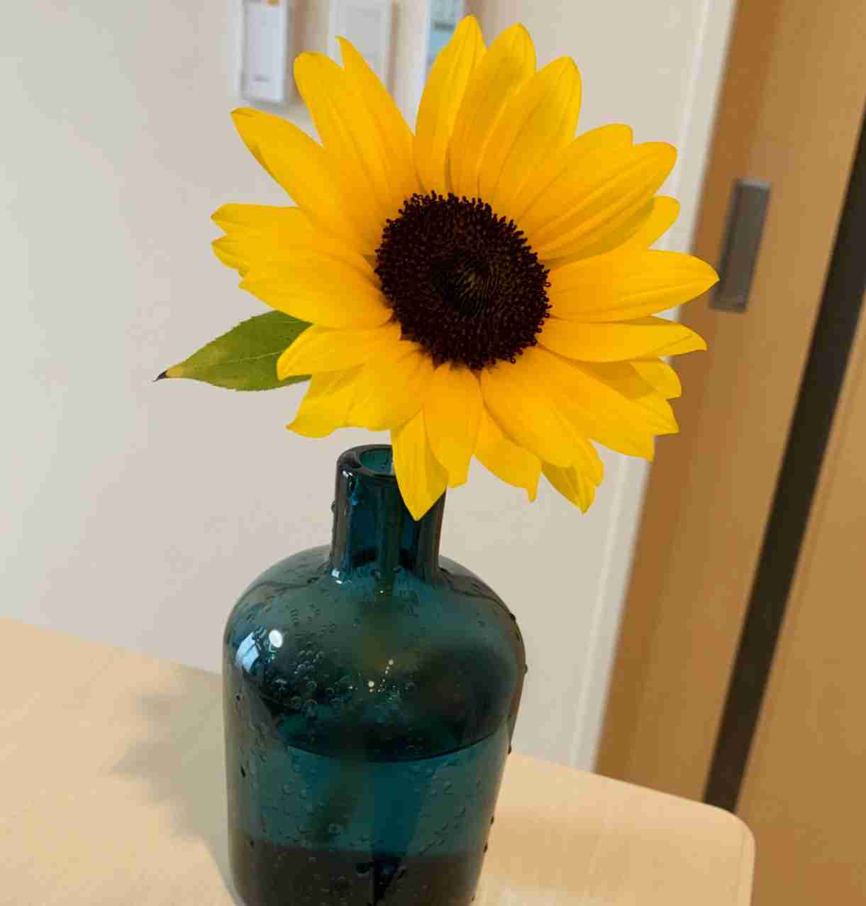 おうちにお花を飾りたい