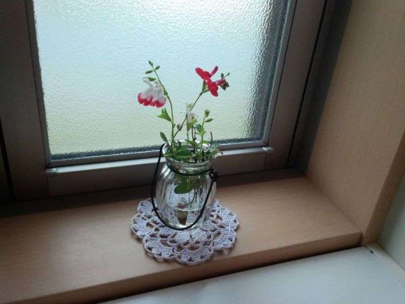 おうちにお花を飾りたい