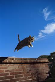 画像で「梅雨明けたー!」