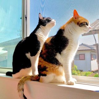 画像で「梅雨明けたー!」