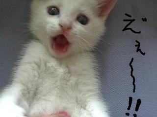 画像で「梅雨明けたー!」