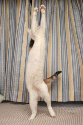 画像で「梅雨明けたー!」