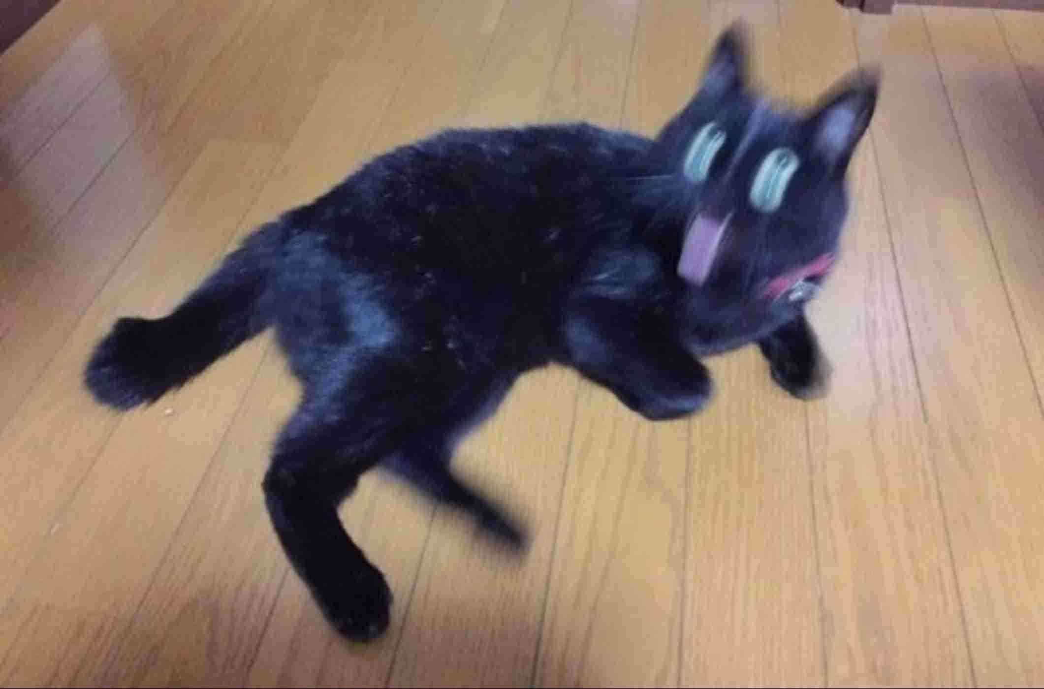 画像で「梅雨明けたー!」
