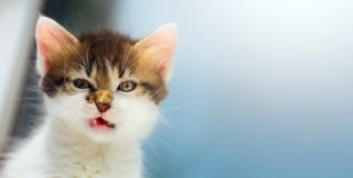 画像で「梅雨明けたー!」