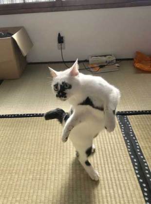 画像で「梅雨明けたー!」