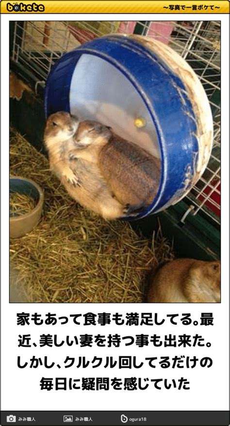 【➕➖トピ】仕事で疑問に思うこと