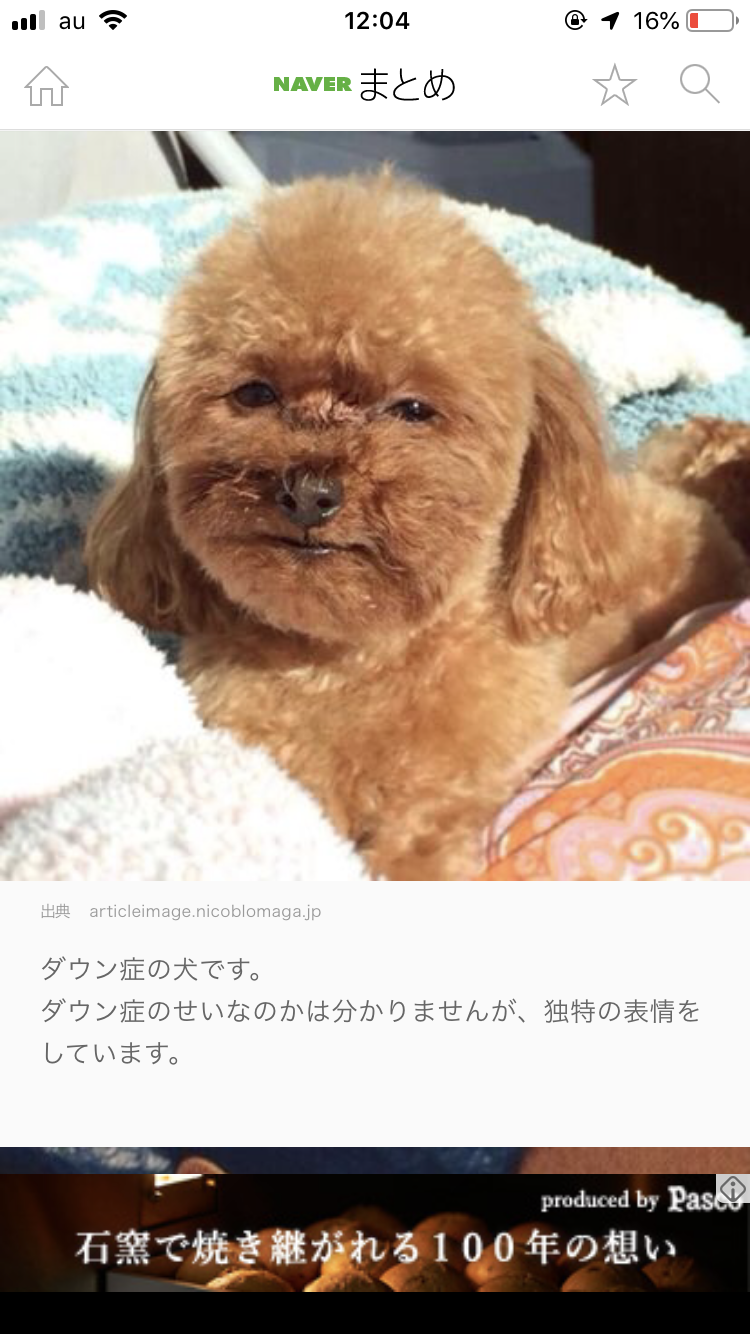 何かコメントを書き込むと誰かが返信してくれるトピ
