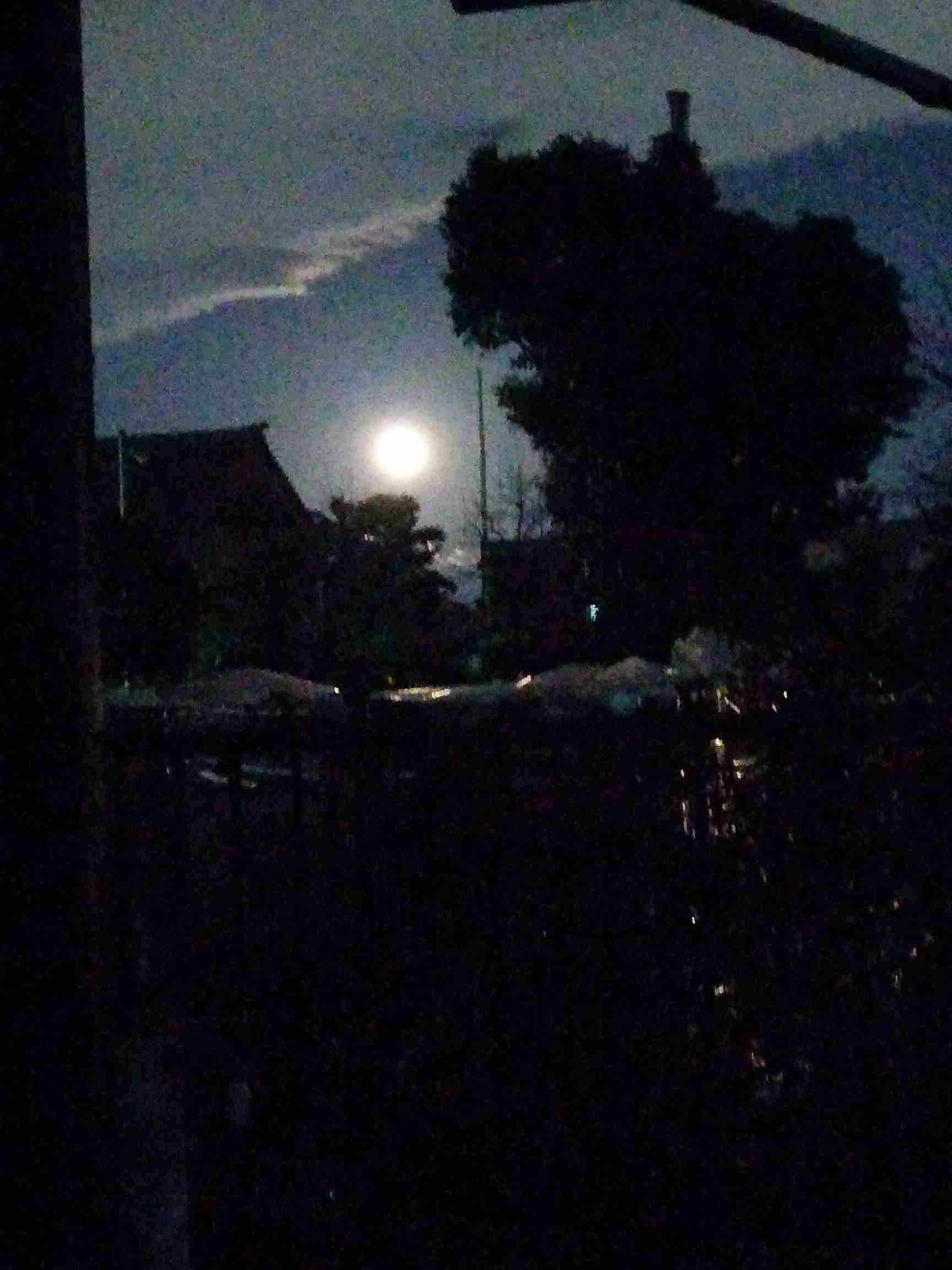 寝落ちトピ 第ニ夜