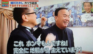 どうでもいい衝撃の事実