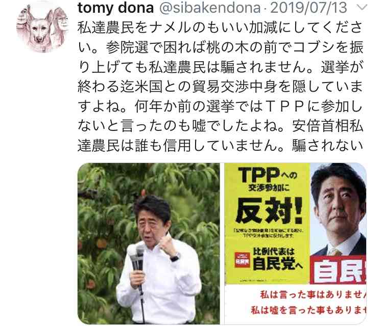 【実況・感想】参院選2019 開票速報