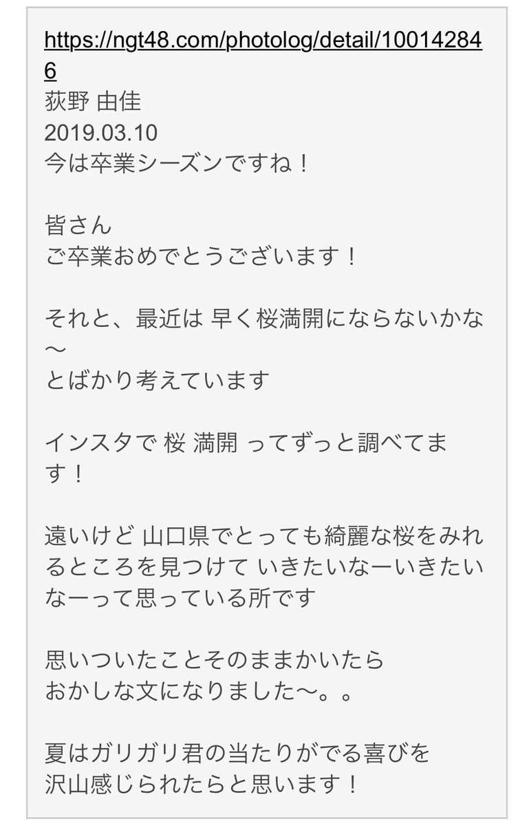 【実況・感想】参院選2019 開票速報