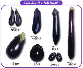 私、これ一生分摂取したかも、、、と思われる食べ物❗飲み物❗